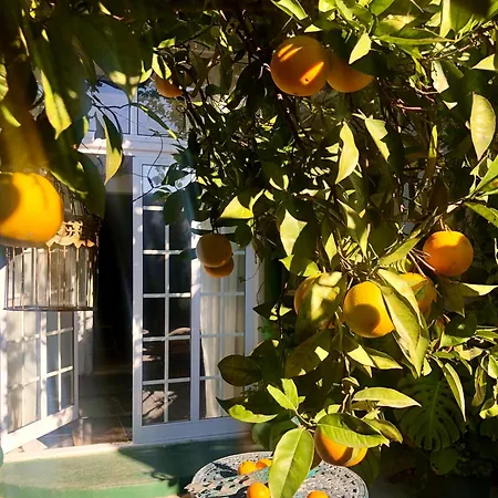House Sleeps 4 With Private Garden Vakantiehuis Mexilhoeira Grande